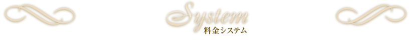 System 料金システム